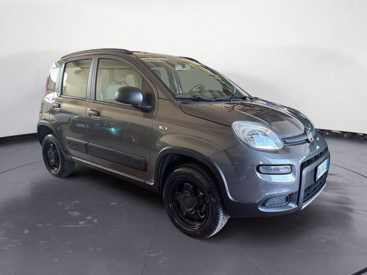 Fiat Panda 0.9 TwinAir Turbo S&S 4x4 Wild (3)