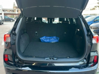Ford Kuga 2.0 EcoBlue 120CV aut. AWD ST-Line X (11)