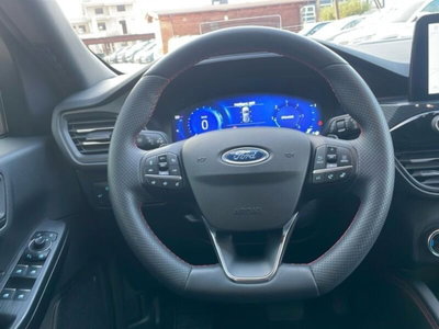 Ford Kuga 2.0 EcoBlue 120CV aut. AWD ST-Line X (14)