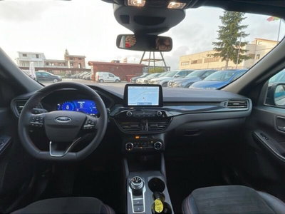 Ford Kuga 2.0 EcoBlue 120CV aut. AWD ST-Line X (17)