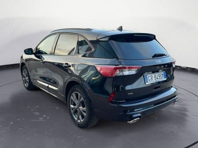 Ford Kuga 2.0 EcoBlue 120CV aut. AWD ST-Line X (5)
