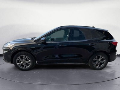 Ford Kuga 2.0 EcoBlue 120CV aut. AWD ST-Line X (8)