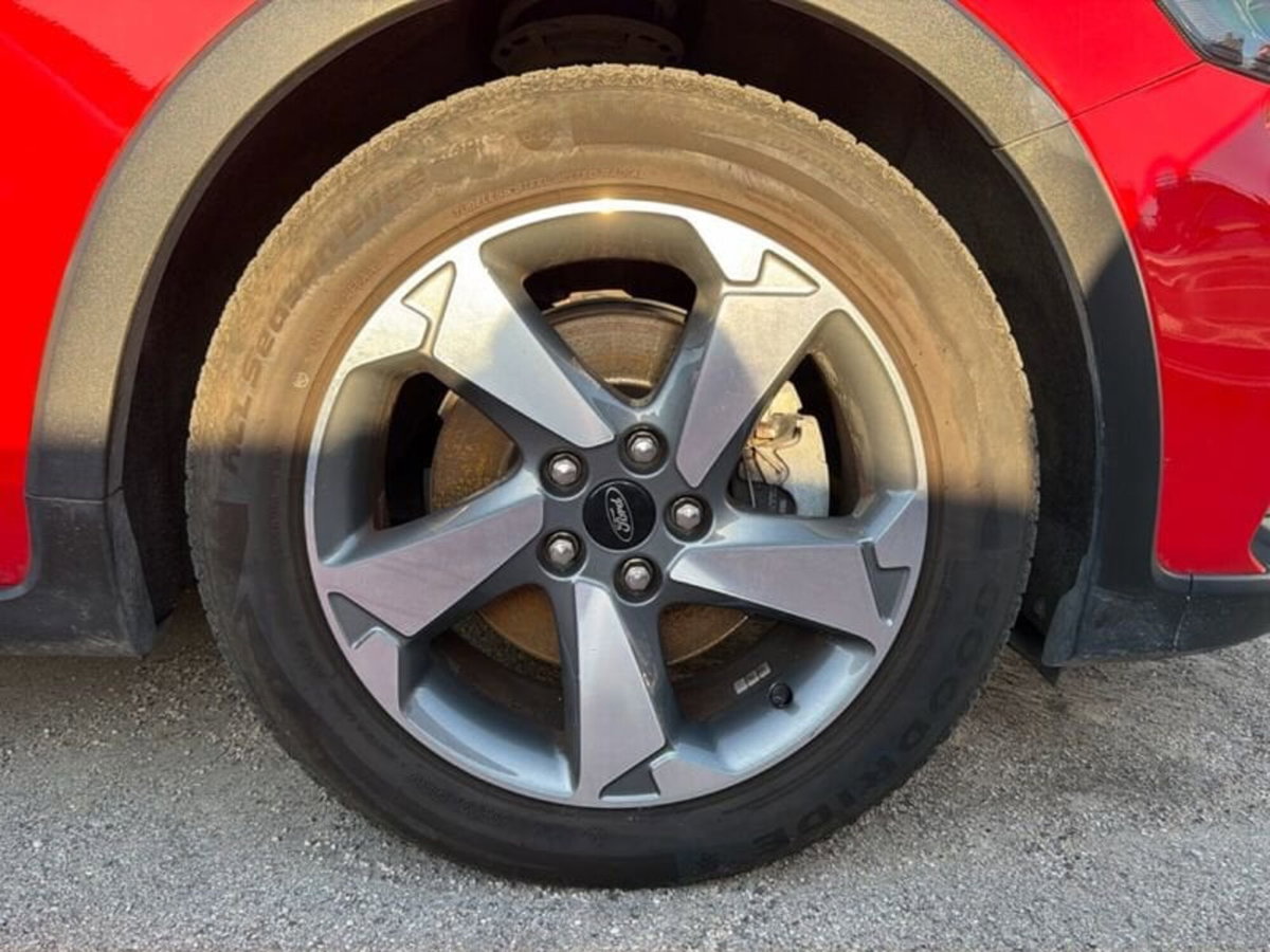 Ford Focus 1.0 EcoBoost 125 CV automatico 5p. Business Co-Pilot (19)
