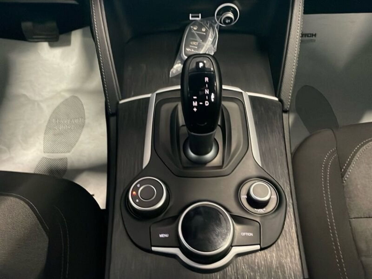 Alfa Romeo Stelvio Stelvio 2.2 Turbodiesel 190 CV AT8 Q4 Super Business (15)