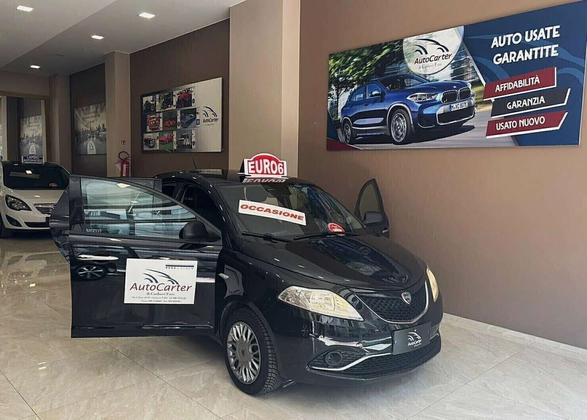 Lancia Ypsilon 1.3 MJT 16V 95 CV 5 porte S&S Silver (20)
