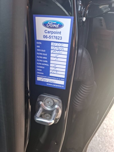 Ford Puma 1.0 EcoBoost Hybrid 125 CV S&S aut. Titanium X (7)