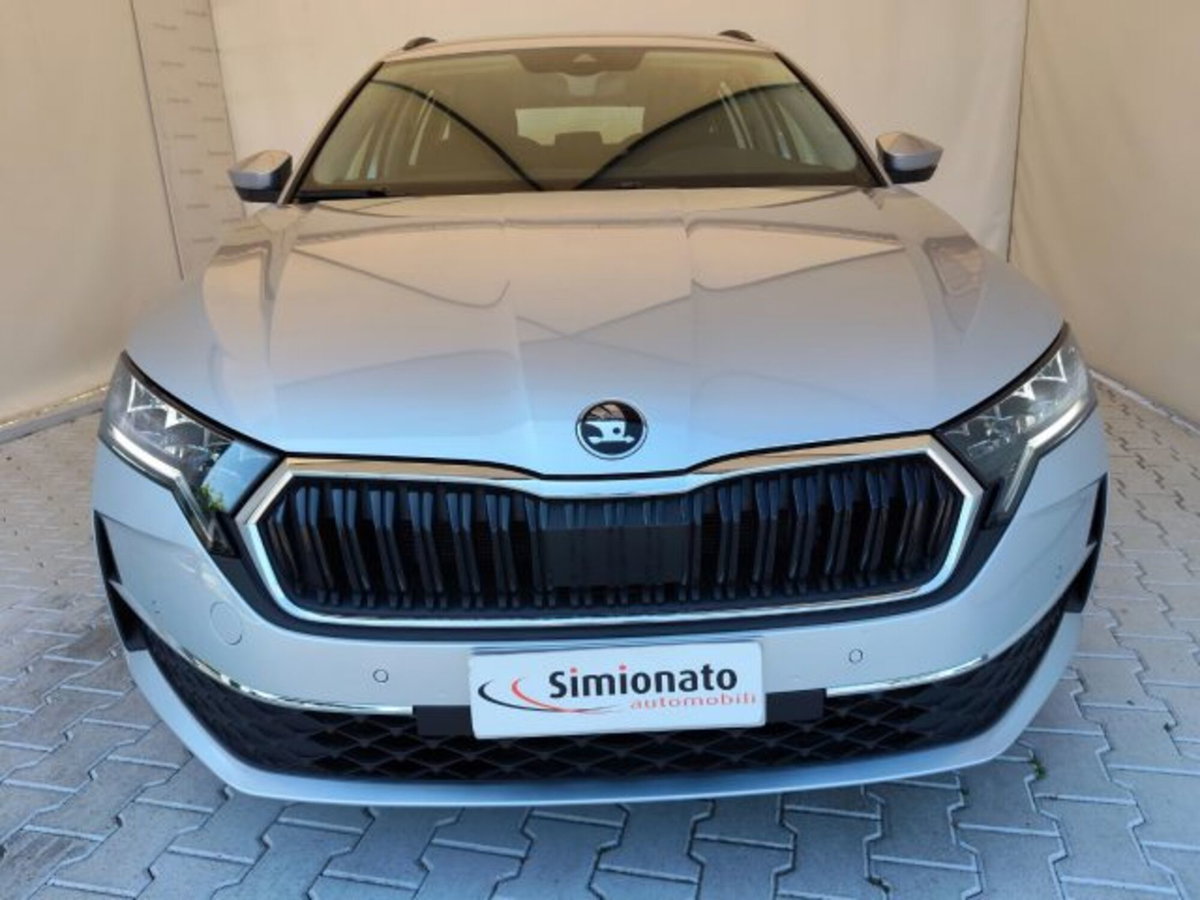 Skoda Octavia Station Wagon 2.0 tdi Selection 150cv dsg (2)