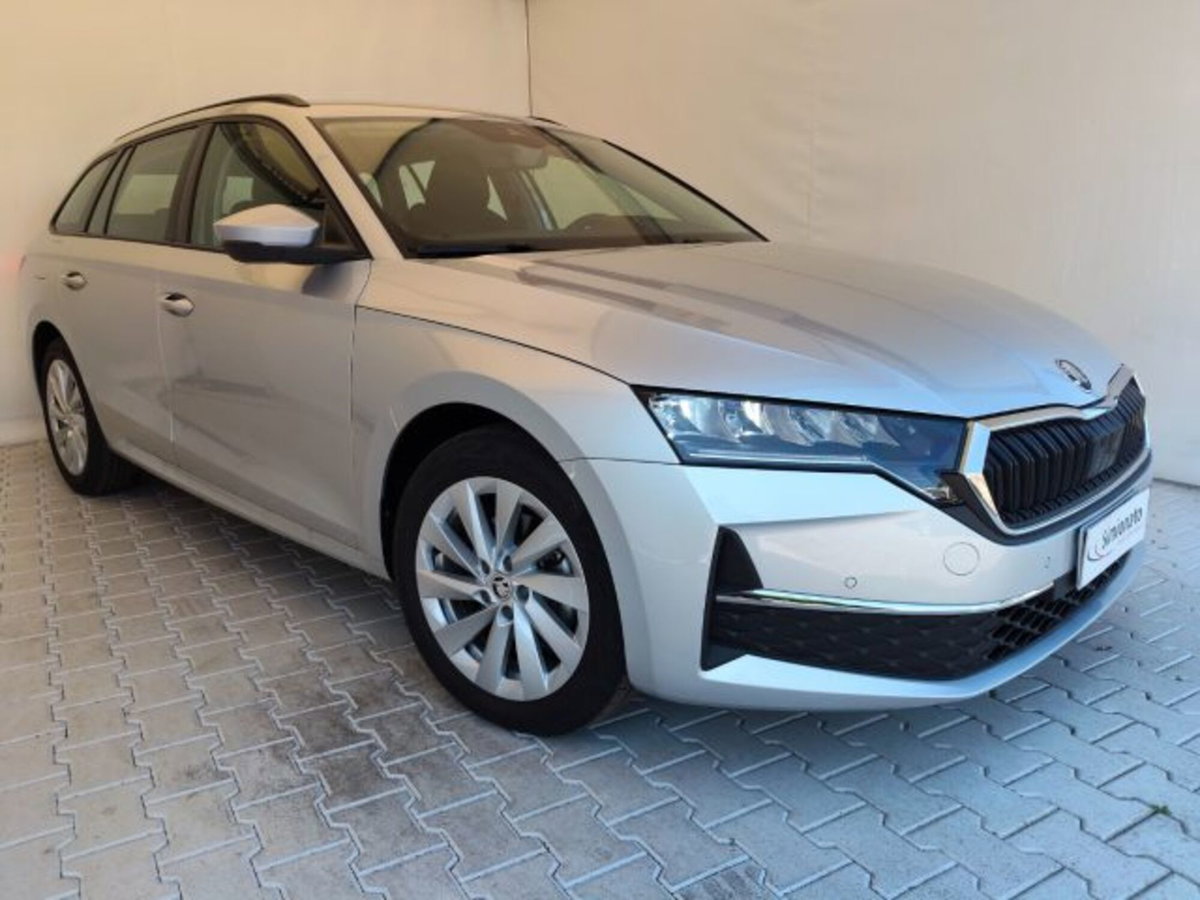 Skoda Octavia Station Wagon 2.0 tdi Selection 150cv dsg (3)