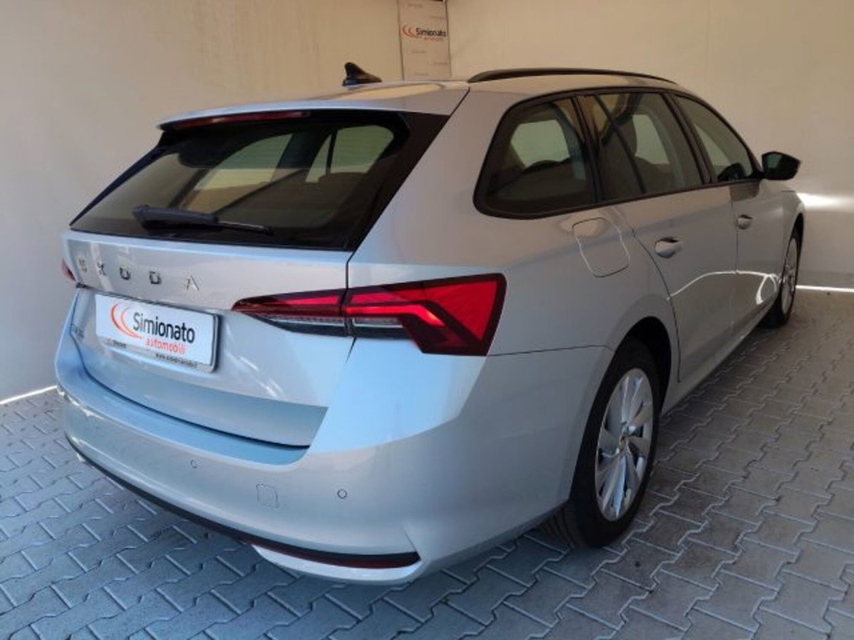 Skoda Octavia Station Wagon 2.0 tdi Selection 150cv dsg (4)