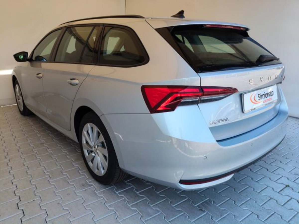 Skoda Octavia Station Wagon 2.0 tdi Selection 150cv dsg (6)