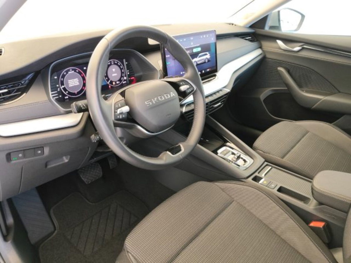 Skoda Octavia Station Wagon 2.0 tdi Selection 150cv dsg (7)