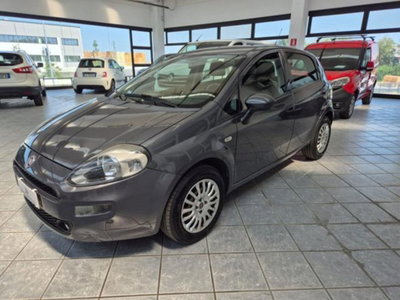 Fiat Punto 1.4 8V 5 porte Easypower Street usata