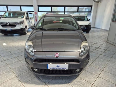 Fiat Punto 1.4 8V 5 porte Easypower Street (2)