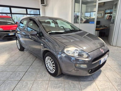 Fiat Punto 1.4 8V 5 porte Easypower Street (3)