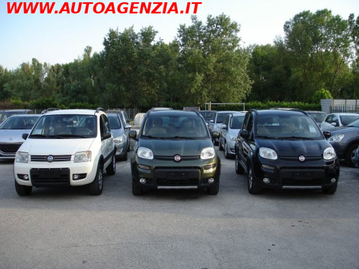 Fiat Panda 1.3 MJT 16V 4x4 (3)