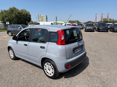 Fiat Panda 1.2 Pop (3)