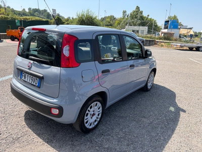 Fiat Panda 1.2 Pop (4)