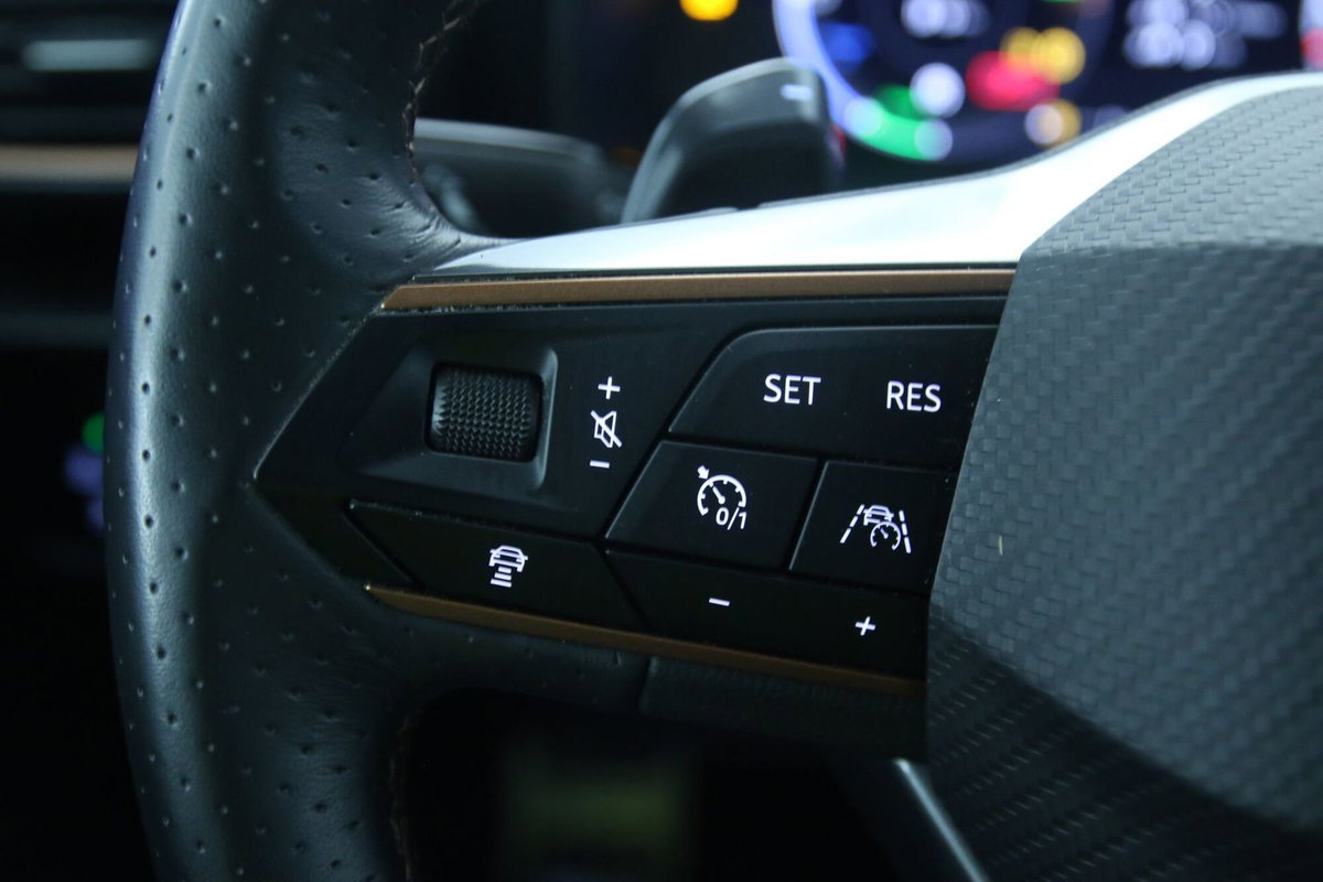 Cupra Formentor Formentor 1.4 e-hybrid VZ 245cv dsg (20)