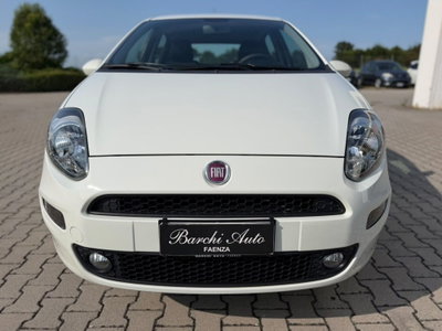 Fiat Punto 1.4 8V 5 porte Natural Power Lounge usata