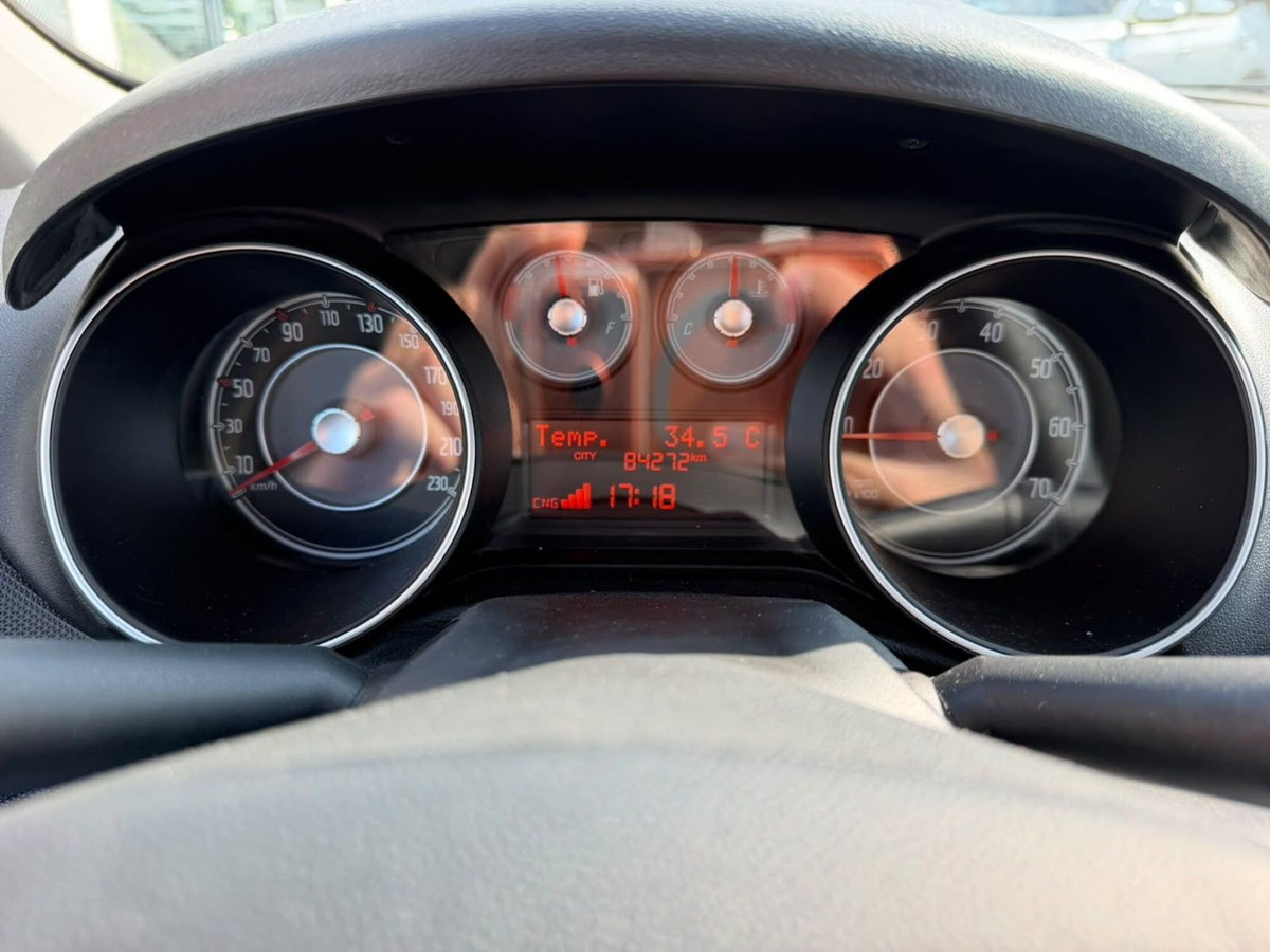 Fiat Punto 1.4 8V 5 porte Natural Power Lounge (18)