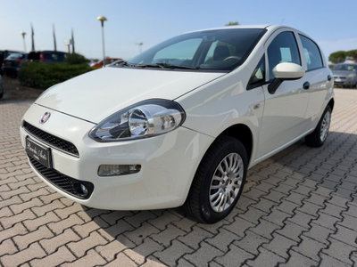 Fiat Punto 1.4 8V 5 porte Natural Power Lounge (2)