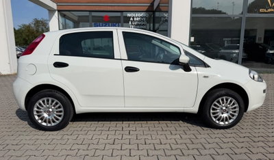 Fiat Punto 1.4 8V 5 porte Natural Power Lounge (4)