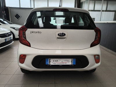 Kia Picanto 1.0 12V 5 porte Active (7)