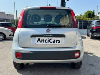 Fiat Panda 1.2 Easy (15)