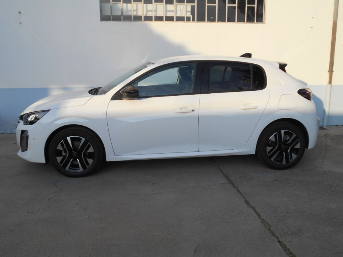 Peugeot 208 PureTech 100 Stop&Start 5 porte Allure (3)