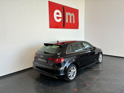Audi A3 1.6 TDI S tronic Business (10)