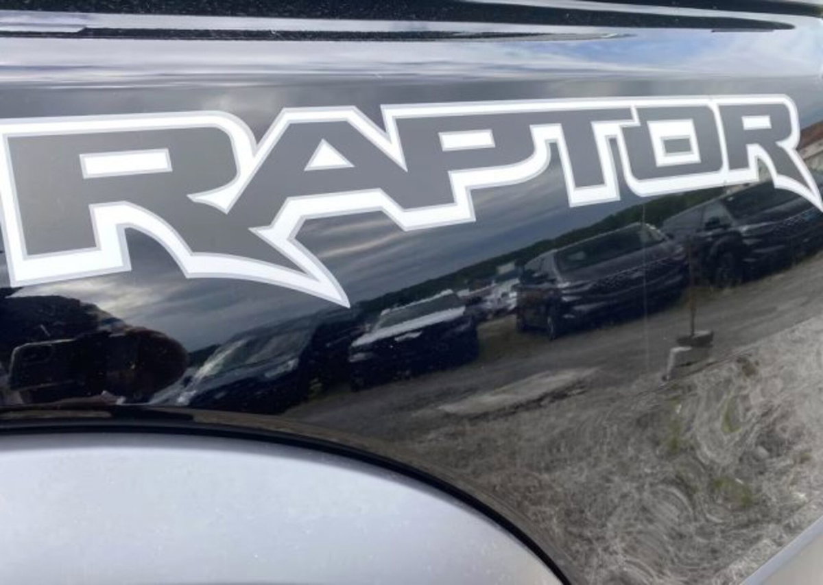 Ford Ranger Pick-up Raptor 2.0 ecoblue 210cv auto (15)