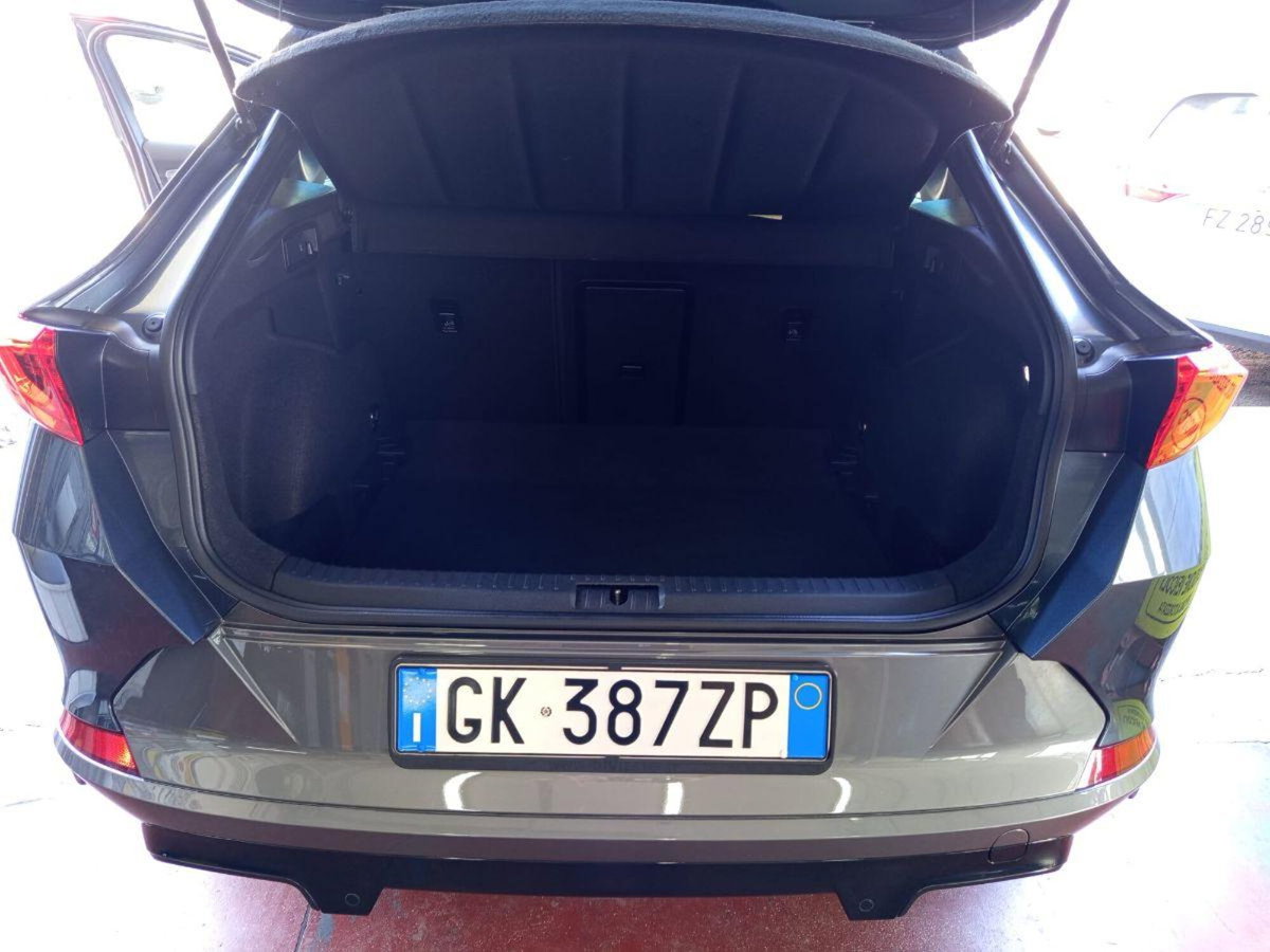 Cupra Formentor Formentor 2.0 TDI (10)