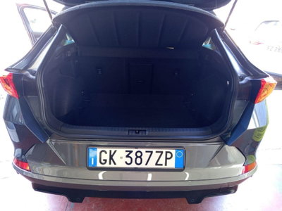 Cupra Formentor Formentor 2.0 TDI (10)