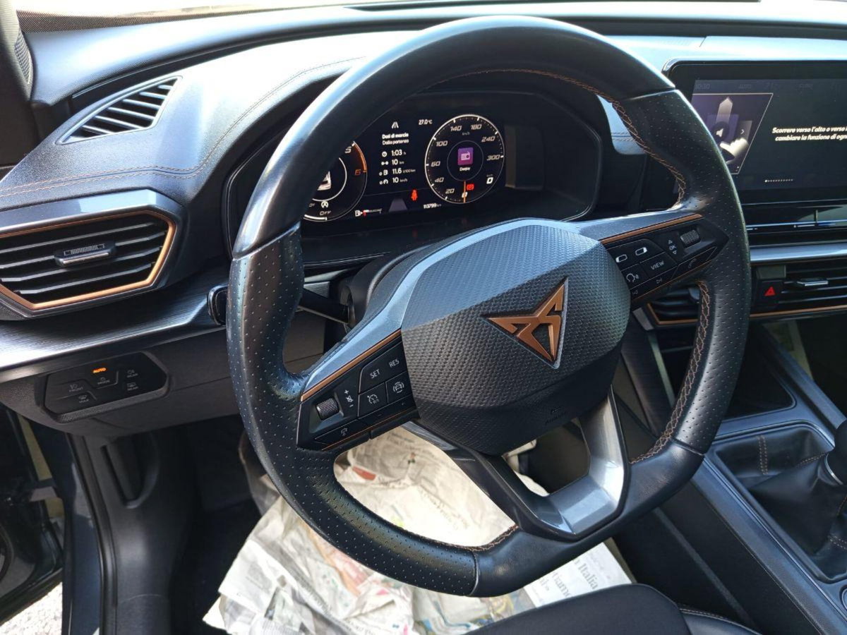 Cupra Formentor Formentor 2.0 TDI (15)