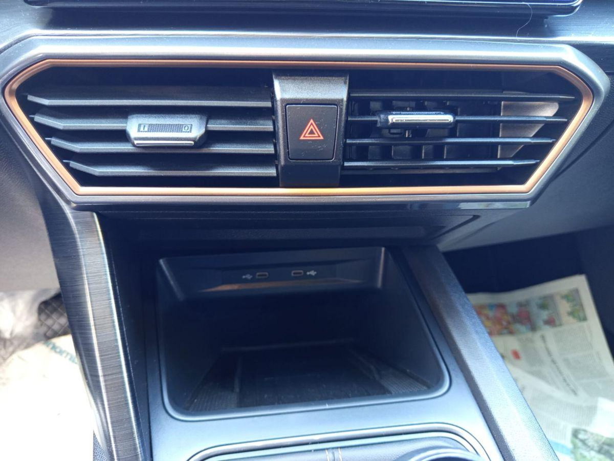 Cupra Formentor Formentor 2.0 TDI (18)