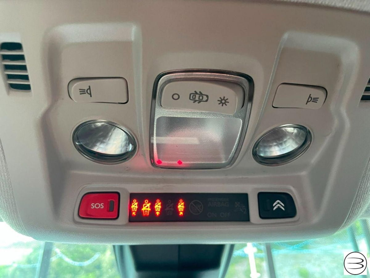 Citroen C3 BlueHDi 100 S&S Shine Pack (16)