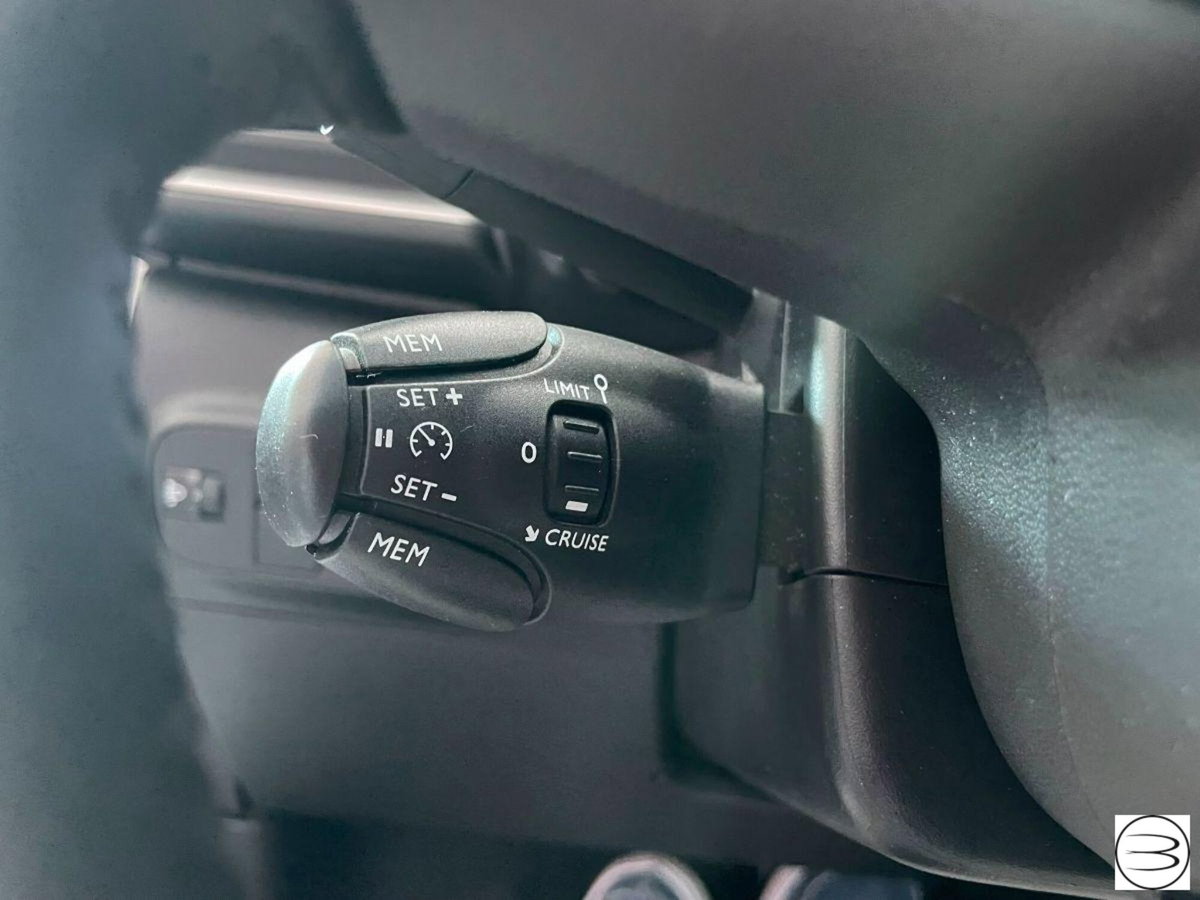 Citroen C3 BlueHDi 100 S&S Shine Pack (18)