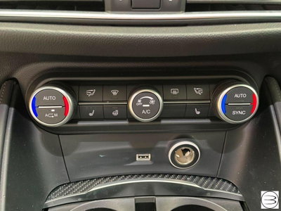 Alfa Romeo Stelvio Stelvio 2.9 Bi-Turbo V6 510 CV AT8 Quadrifoglio (19)