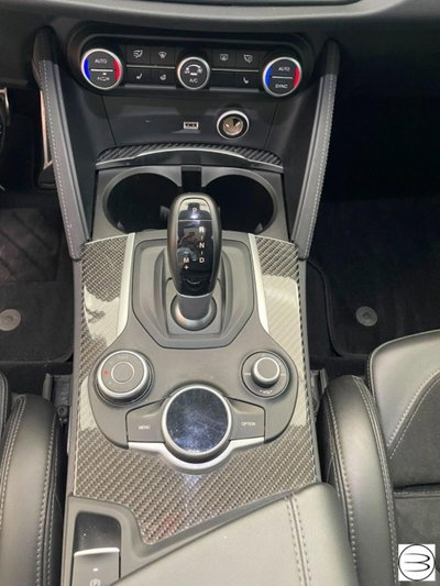 Alfa Romeo Stelvio Stelvio 2.9 Bi-Turbo V6 510 CV AT8 Quadrifoglio (20)