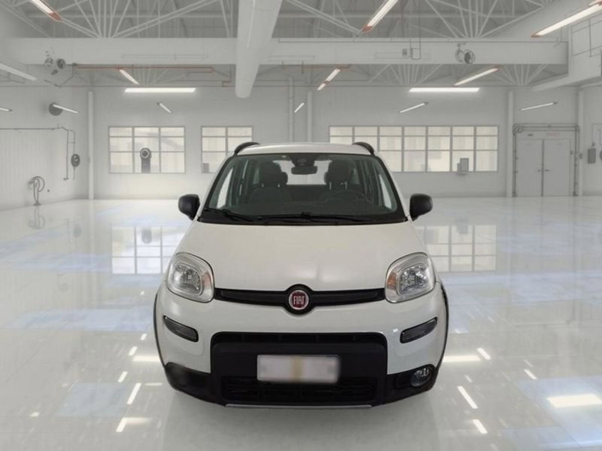 Fiat Panda 0.9 TwinAir Turbo S&S 4x4 Wild (2)