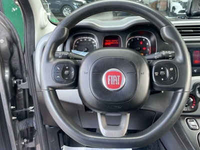 Fiat Panda 1.0 FireFly S&S Hybrid City Cross (17)