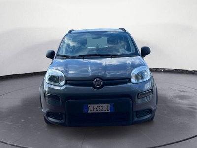 Fiat Panda 1.0 FireFly S&S Hybrid City Cross (2)