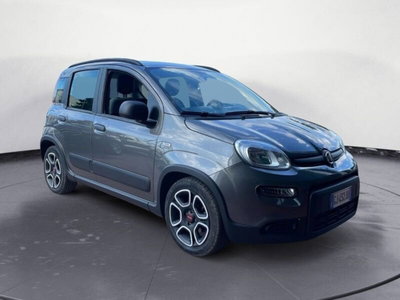 Fiat Panda 1.0 FireFly S&S Hybrid City Cross (3)