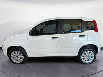 Fiat Panda 0.9 TwinAir Turbo Natural Power Easy (3)