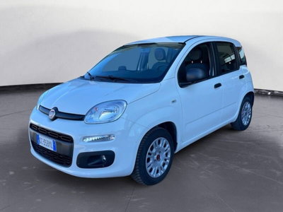 Fiat Panda 1.2 EasyPower Easy usata