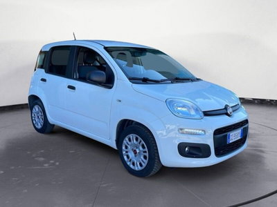 Fiat Panda 1.2 EasyPower Easy (3)
