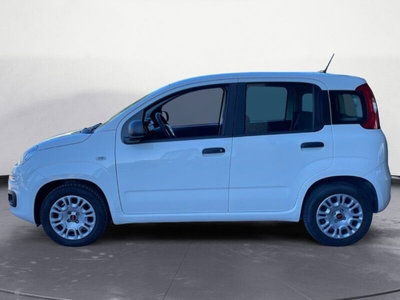 Fiat Panda 1.2 EasyPower Easy (4)