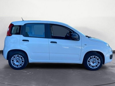 Fiat Panda 1.2 EasyPower Easy (8)