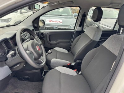 Fiat Panda 1.0 firefly hybrid s&s 70cv 5p.ti (12)