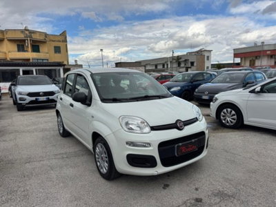 Fiat Panda 1.0 firefly hybrid s&s 70cv 5p.ti (3)